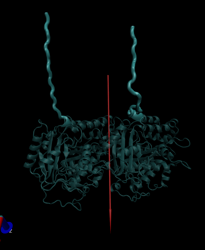 Tubulin molecule at start