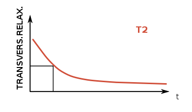 T2 Relaxation Curve